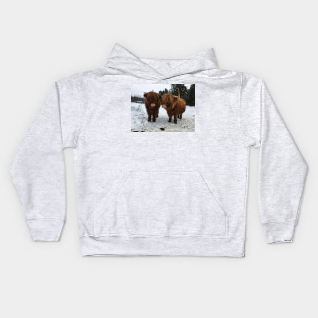 Scottish Highland Cattle Cow and Calf 1678 Kids Hoodie by SaarelaHighland